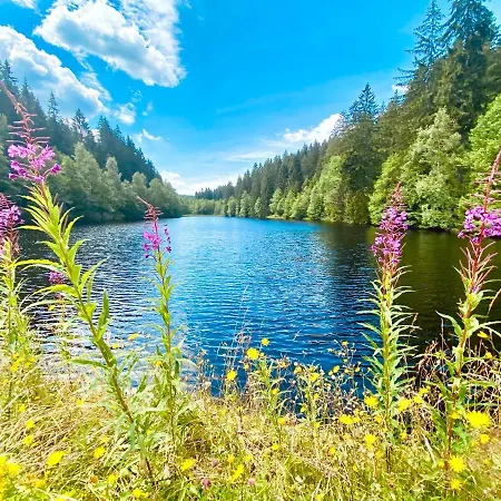 Am Oker, Altenau, Harz فندق مبيت وإفطار