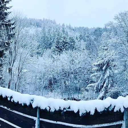 فندق مبيت وإفطار Am Oker, Altenau, Harz *