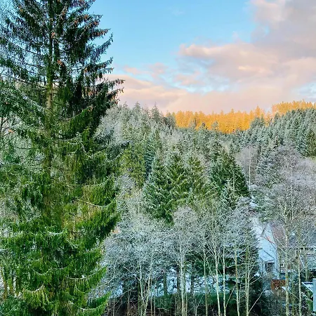Am Oker, Altenau, Harz ألتيناو